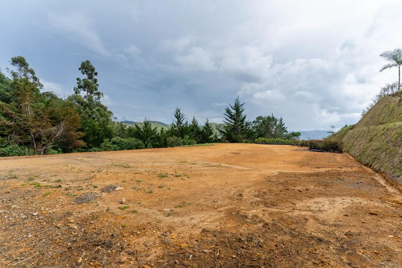 Quebrada natural Lote 3
